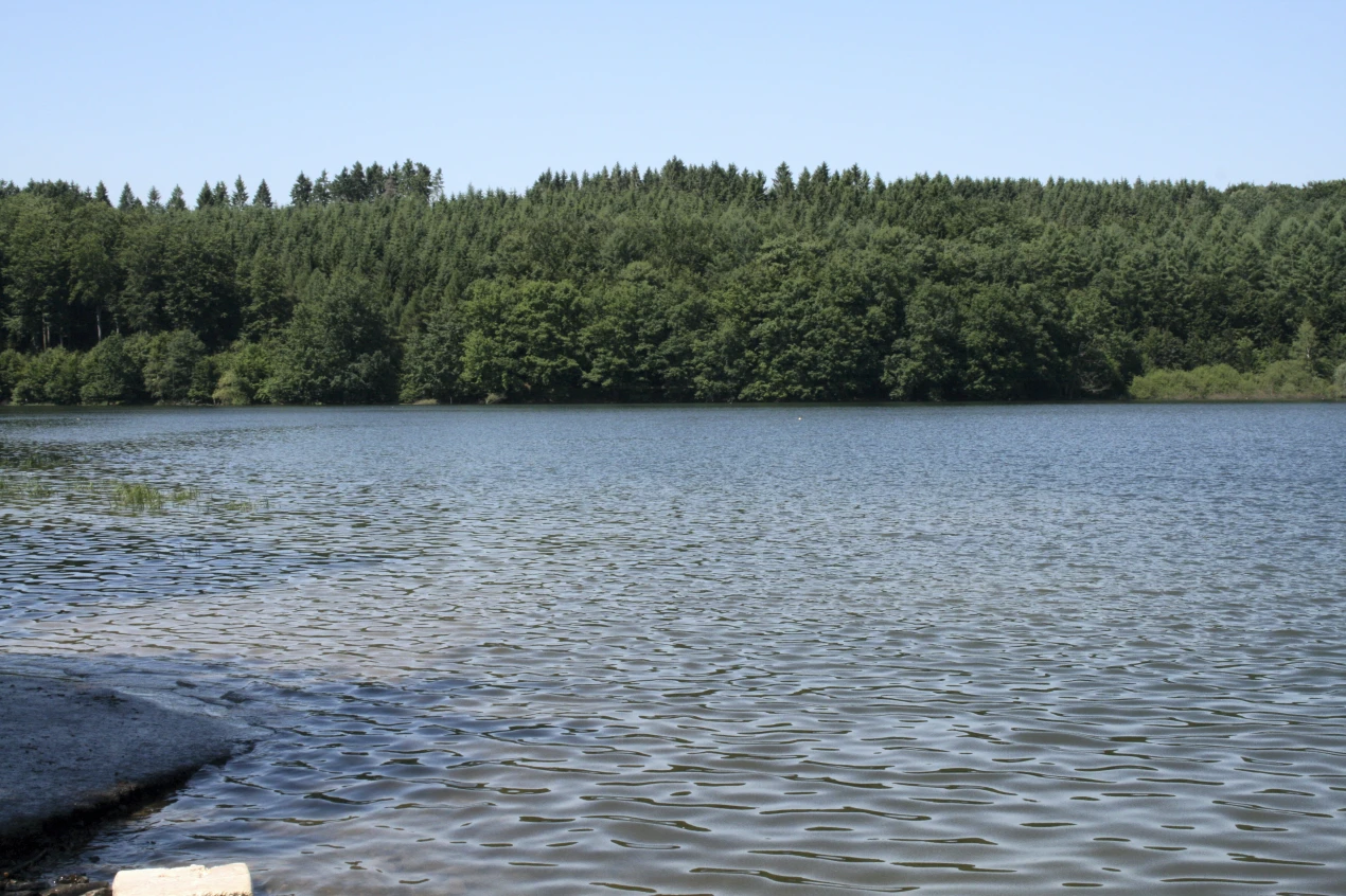 Unsachgemäßer Umgang mit Abwässern bedroht Wasserorganismen (Foto:OBK)