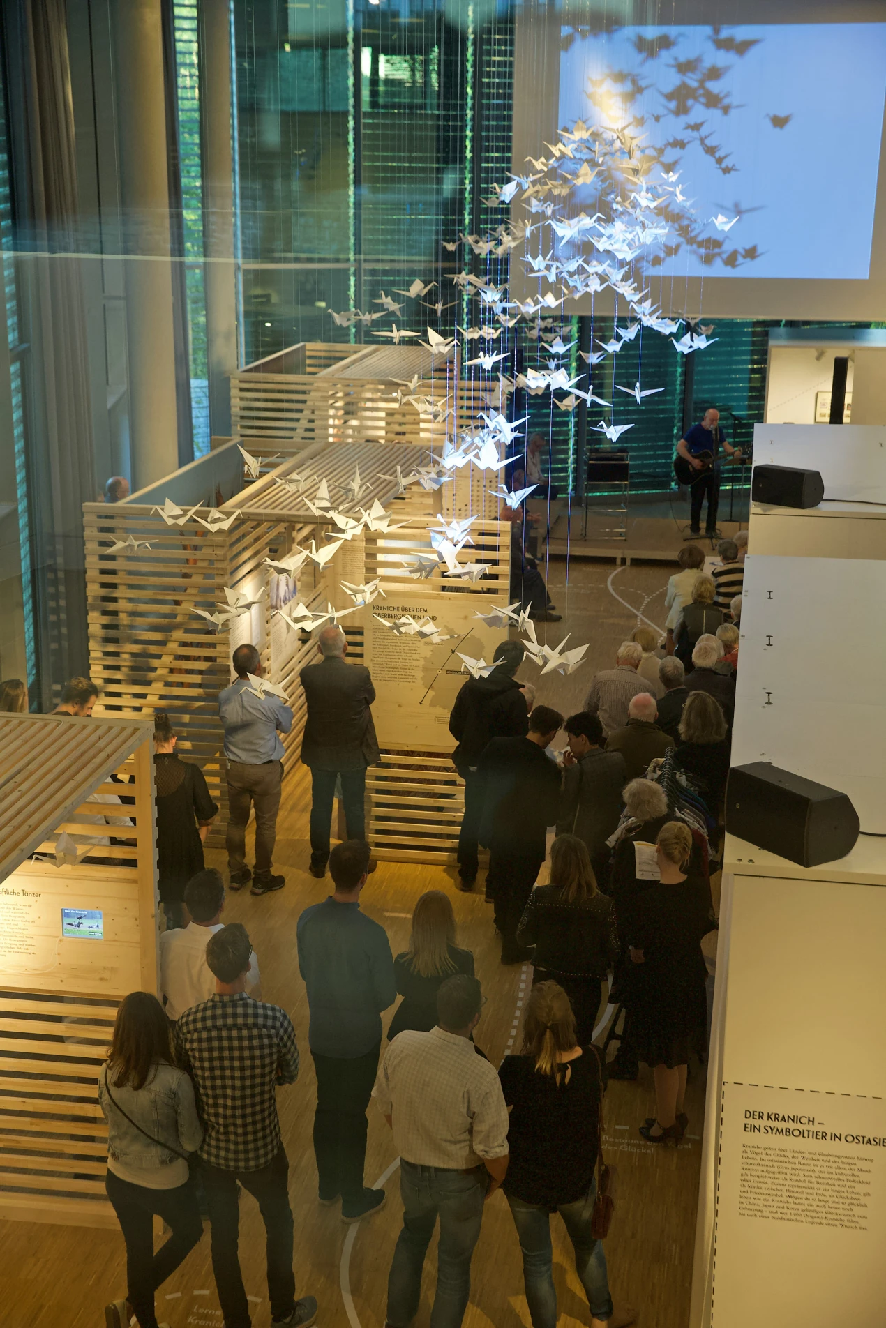 Die Sonderausstellung "Zug der Kraniche" zieht zahleiche Besucherinnen und Besucher an. (Foto: OBK)