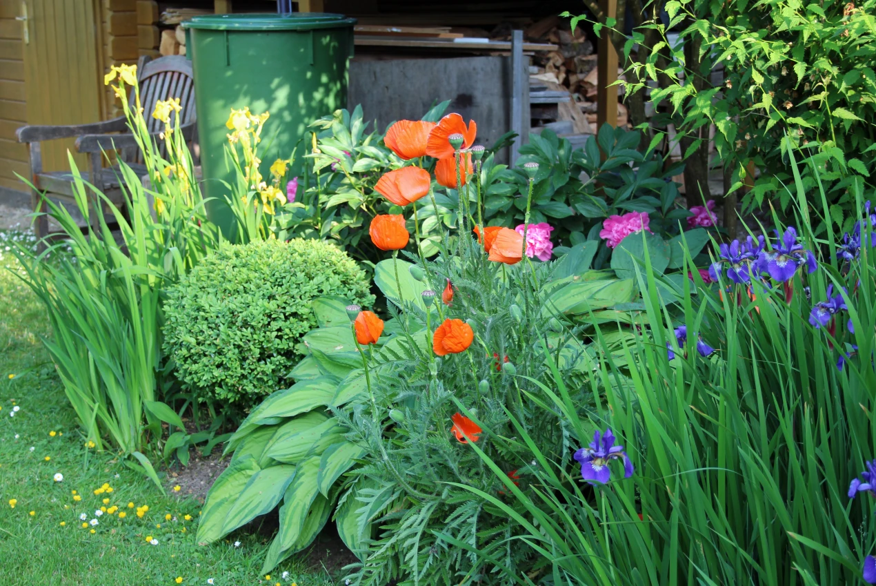 Die Broschüre "Es blüht und summt in Oberberg!" unterstützt die Artenvielfalt im heimischen Garten. (Foto: OBK)
