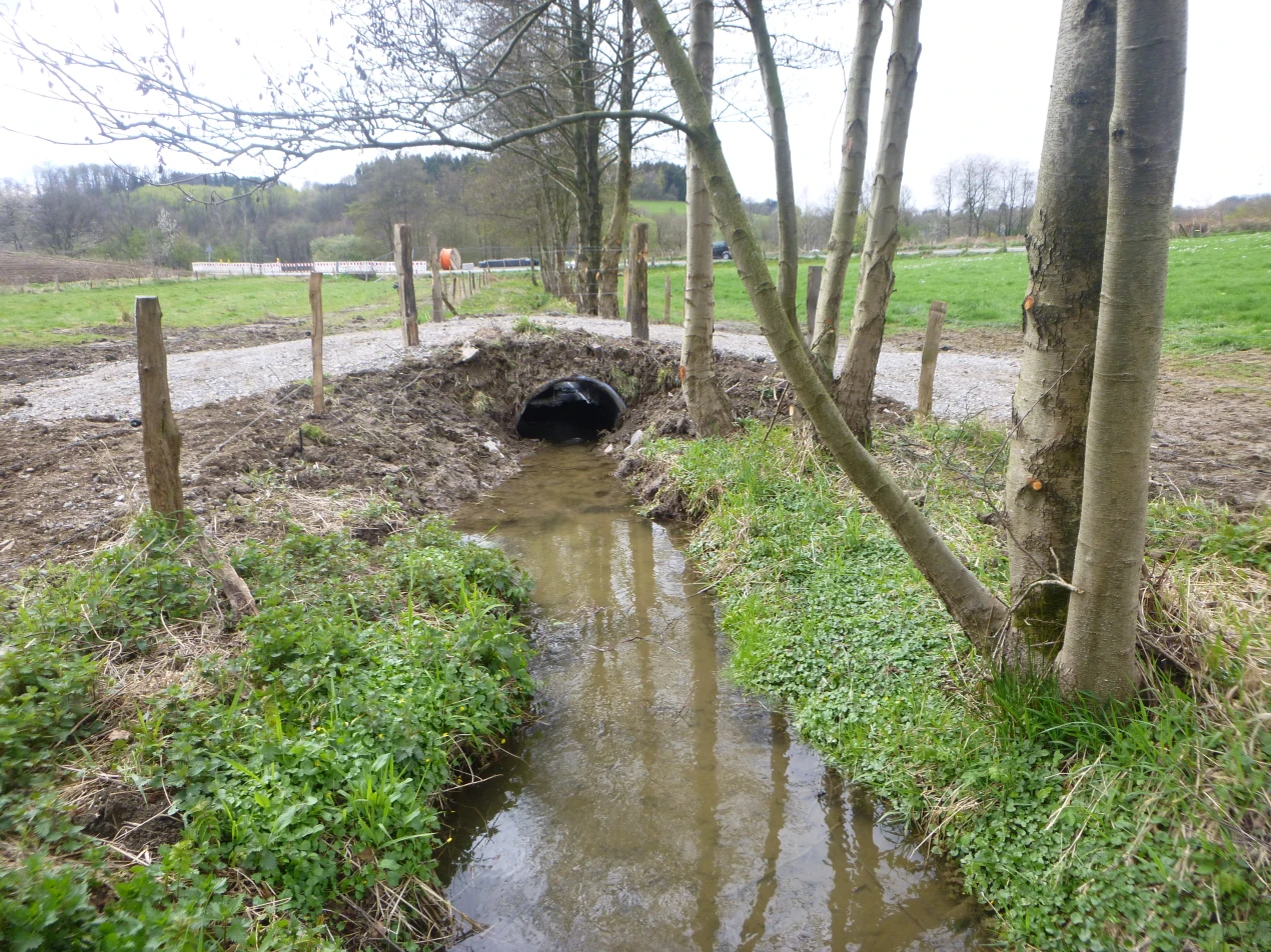 Eine neue naturnahe Verrohrung sorgt für einen besseren Durchfluss des Bachs. Gleichzeitig dient das Rohr als Viehübergang. (Foto: Wupperverband)
