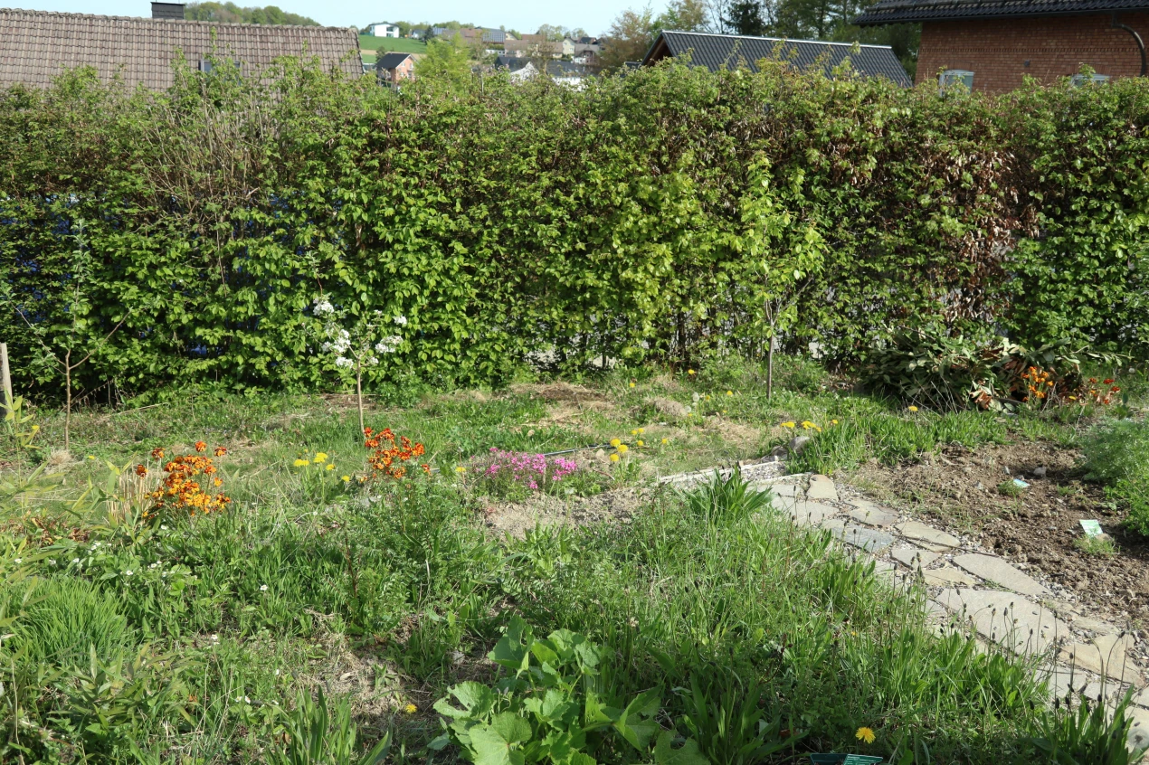 Den Garten "öffnen" und Durchgänge schaffen. (Foto: OBK)