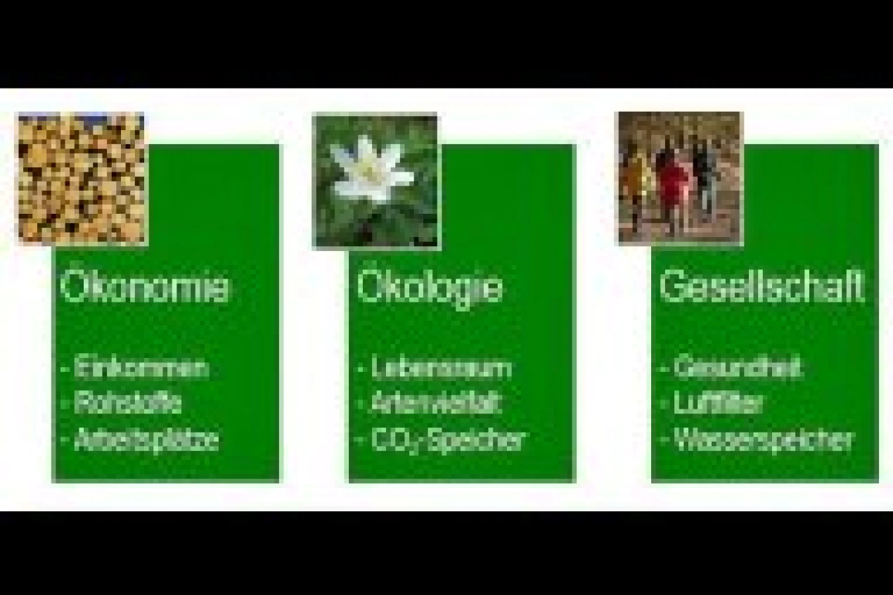 Zentrale Aussage der diesjährigen Waldkonferenz: Zur Zukunftssicherung des Waldes müssen Naturschutz, Umweltschutz, Klimaschutz und Wirtschaft gemeinsam betrachtet werden. (Foto/ Grafik: OBK) 