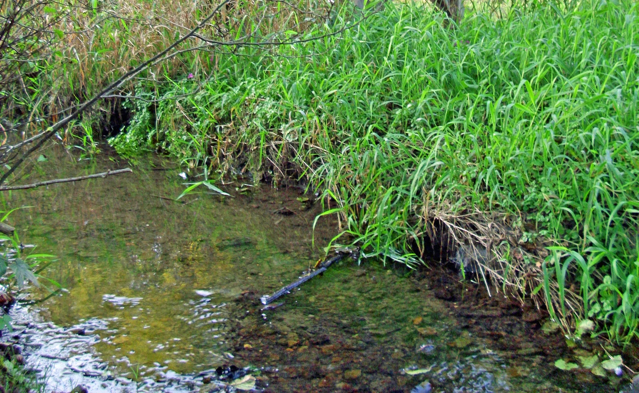 Weil Bäche und Flüsse jetzt wenig Wasser führen, bittet das Umweltamt des Oberbergischen Kreises um sparsamen Umgang damit. (Foto: OBK)