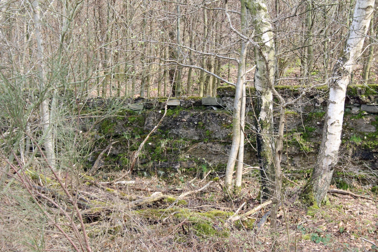 Überreste der Außenmauern der NS-Schule oberhalb des Waldbröler Friedhofs. Sie verläuft parallel zur "Friedensmauer". (Foto: OBK)