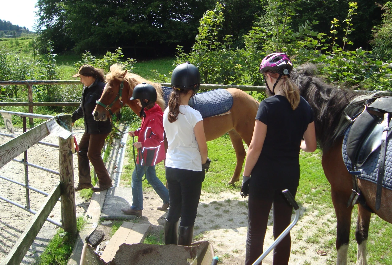 Reitspaß mit den Pferden Gata und Gletta auf dem Islandhof Suppé in Reichshof. (Foto: OBK)