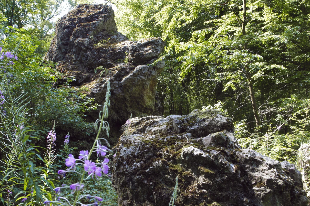 Dicke Steine unterhalb von Schloss Homburg. (Foto: OBK)