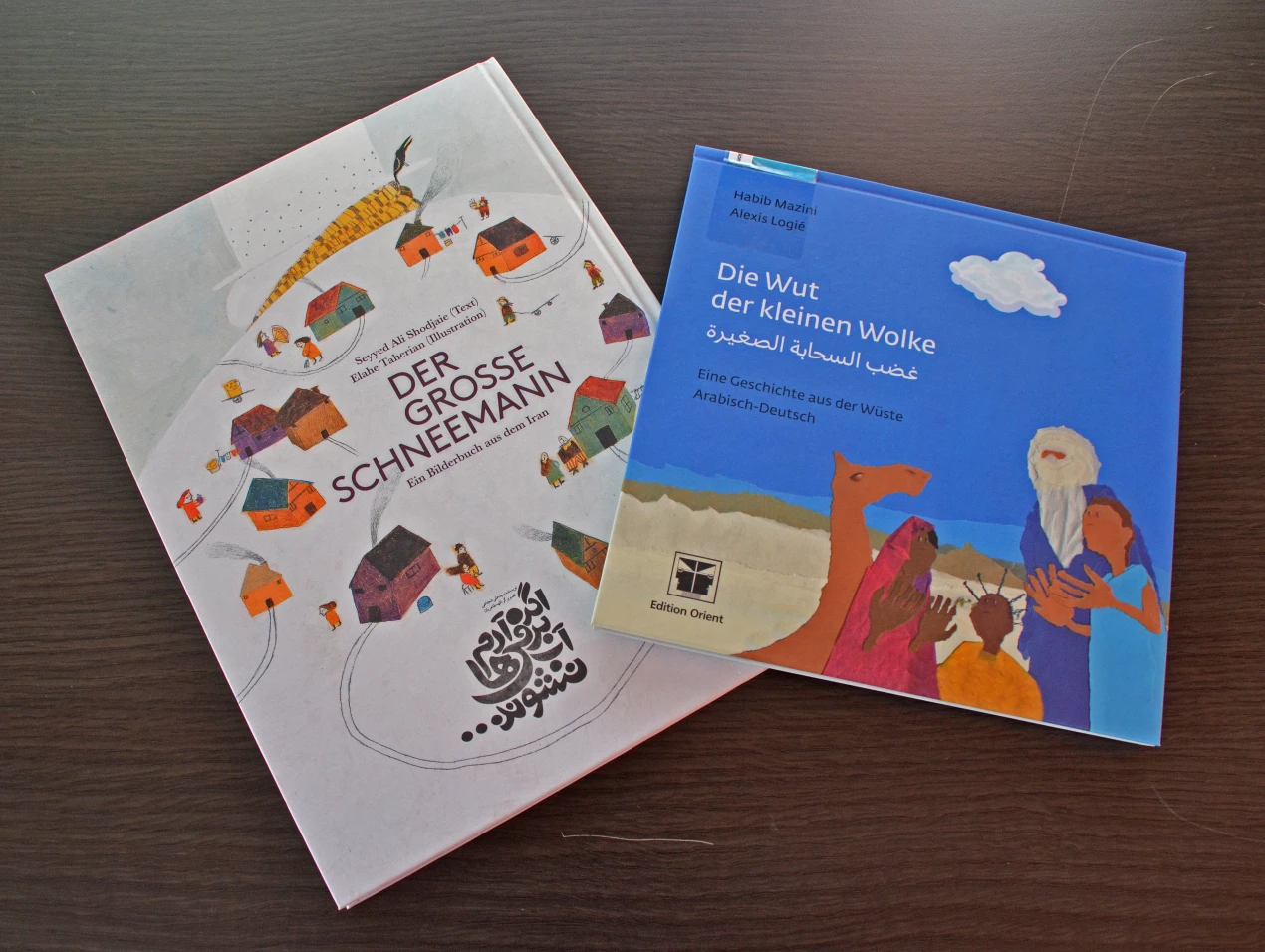 "Die Wut der kleinen Wolke: Eine Geschichte aus der Wüste" von Habib Mazini und "Der große Schneemann: Ein Bilderbuch aus dem Iran" von Seyyed Ali Shodjaie  standen auf der Leseliste. (Foto: OBK)
