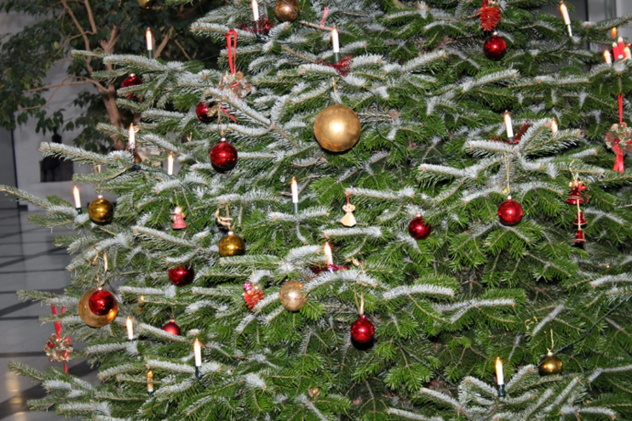 Weihnachtsbaum im Foyer des Kreishauses (Foto: OBK)